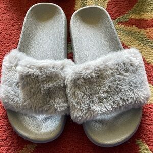 Gray, fuzzy slides
